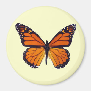 Oranje Butterfly Magnet