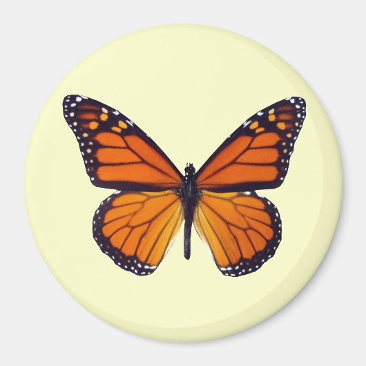 Oranje Butterfly Magnet (Voorkant)