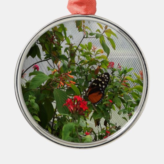 ORANJE BUTTERFLY METALEN ORNAMENT (Voorkant)