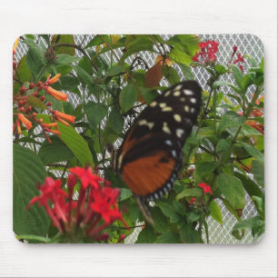 ORANJE BUTTERFLY MUISMAT