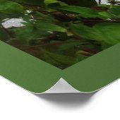 ORANJE BUTTERFLY POSTER (Hoek)