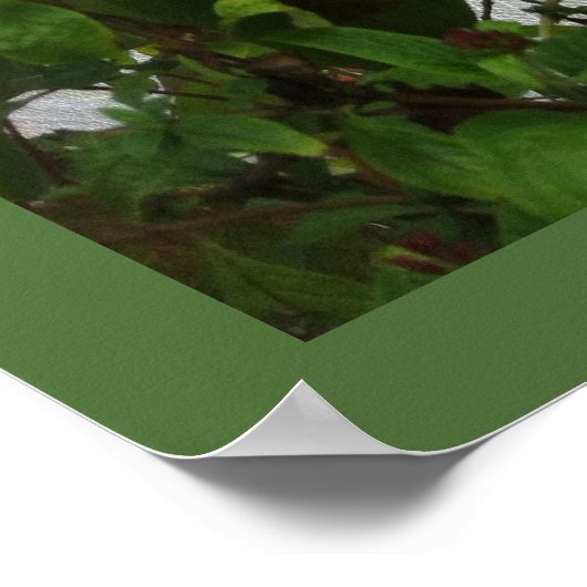 ORANJE BUTTERFLY POSTER (Hoek)