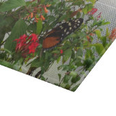 ORANJE BUTTERFLY SNIJPLANK (Hoek)