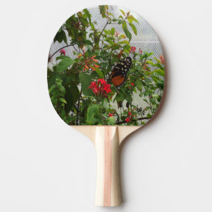 ORANJE BUTTERFLY TAFELTENNISBATJE