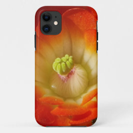 Oranje cactus bloem iPhone Case