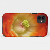 Oranje cactus bloem iPhone Case (Achterkant (horizontaal))