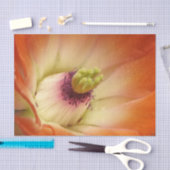 Oranje cactus bloemenpapier tissuepapier (Craft)