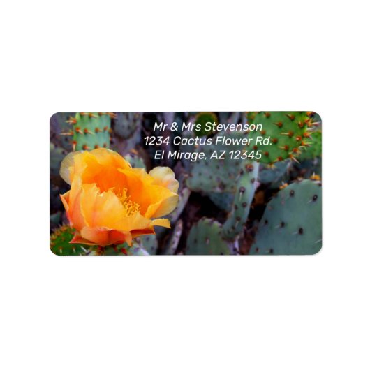 Oranje Cactus Flower Blossom Prickly Pear Opuntia Etiket (Voorkant)