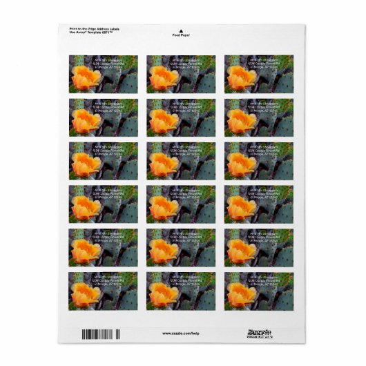 Oranje Cactus Flower Blossom Prickly Pear Opuntia Etiket (Full Sheet)