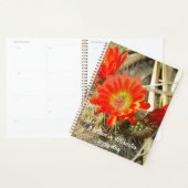 Oranje Cactus Flower, het wonder van New Mexico Planner (Display)
