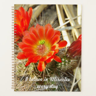 Oranje Cactus Flower, het wonder van New Mexico Planner