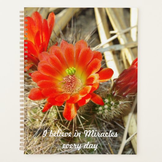 Oranje Cactus Flower, het wonder van New Mexico Planner (Voorkant)