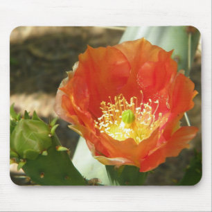 Oranje cactus flower mousepad muismat