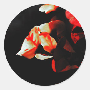 Oranje Cactus Flower Ronde Sticker