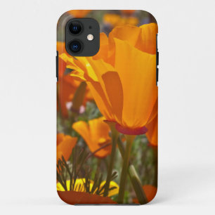 Oranje california poppies Case-Mate iPhone case