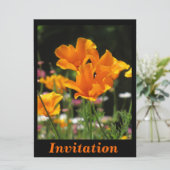 Oranje California Poppies Kaart (Staand voorkant)