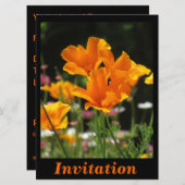 Oranje California Poppies Kaart (Voorkant / Achterkant)