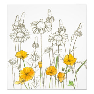 Oranje California Poppy Flowers Plant Sketch Foto Afdruk