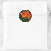 Oranje California Poppy Sticker (Tas)