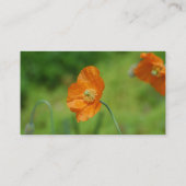 Oranje Californië Poppy Visitekaartje (Achterkant)