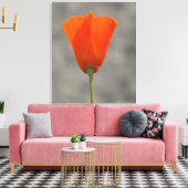 Oranje Californische bloem Canvas Afdruk (Insitu (Woonkamer))