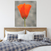 Oranje Californische bloem Canvas Afdruk (Insitu (Slaapkamer))