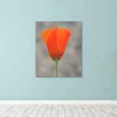 Oranje Californische bloem Canvas Afdruk (Insitu (Houten vloer))