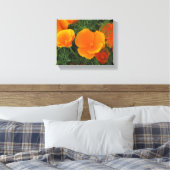 Oranje Californische bloemen Canvas Afdruk (Insitu (Slaapkamer))