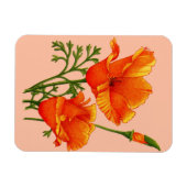 oranje Californische papaver Magneet (Horizontaal)