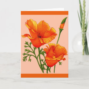 oranje Californische papaverdruk Kaart