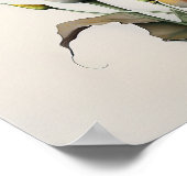 Oranje Calla Lilies Lily Bloemenkunst Print Poster (Hoek)