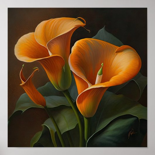 Oranje Calla Lilies Lily Bloemenkunst Print Poster (Voorkant)