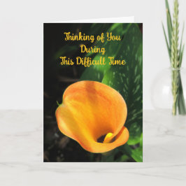 Oranje Calla Lily Denken aan U Sympathie Kaart