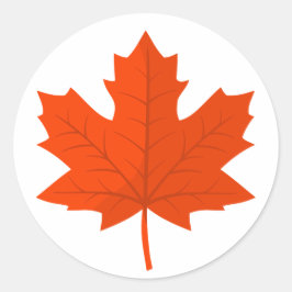 Oranje Canadees esdoornblad Ronde Sticker