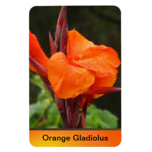 Oranje Canna Bloem Magneet