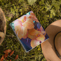 Oranje Canna Lily Floral