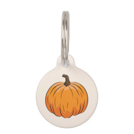Oranje Cartoon Herfst Pompoen Illustratie Huisdierpenning