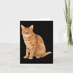 Oranje Cat Tab Funny Cat Parodie Cat Lover Gift Ki Kaart