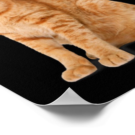 Oranje Cat Tab Funny Cat Parodie Cat Lover Gift Ki Poster (Hoek)