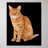 Oranje Cat Tab Funny Cat Parodie Cat Lover Gift Ki Poster (Voorkant)