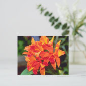 Oranje Cattleya-bloemen Briefkaart (Staand voorkant)