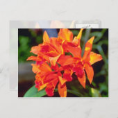 Oranje Cattleya-bloemen Briefkaart (Voorkant / Achterkant)