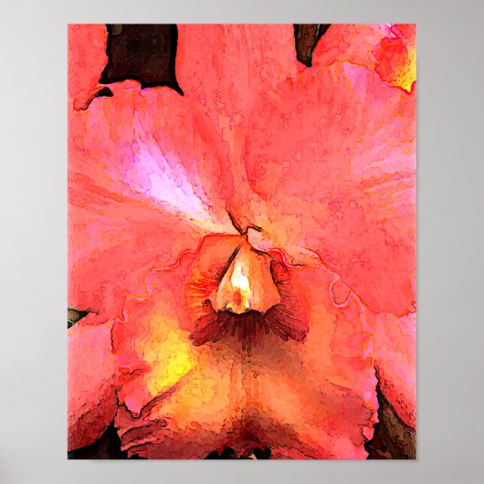 Oranje Cattleya Orchid Poster (Voorkant)