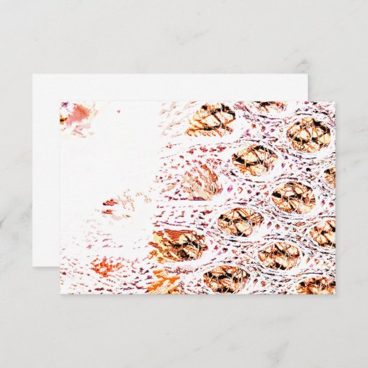 Oranje celafdruk (Voorkant / Achterkant)