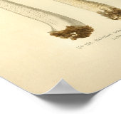  Oranje champignons Kunst print Frans (Hoek)