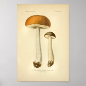  Oranje champignons Kunst print Frans (Voorkant)