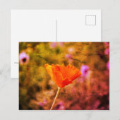 Oranje chiffon briefkaart (Voorkant / Achterkant)