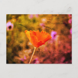 Oranje chiffon briefkaart