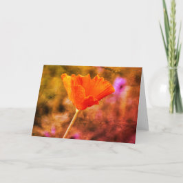 Oranje chiffon kaart