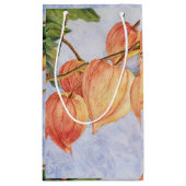 Oranje Chinese lantaarnbloemen Klein Cadeauzakje (Achterkant)